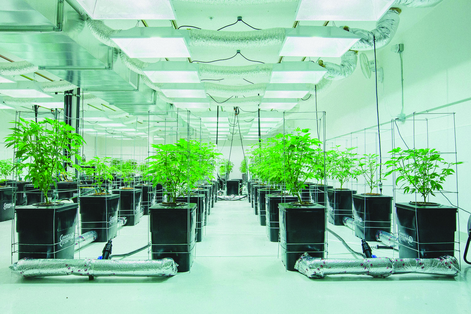 Pictures of hydroponics setups Pictures of hydroponics setups